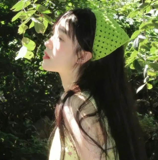 少女革命:思春期默示录 封面