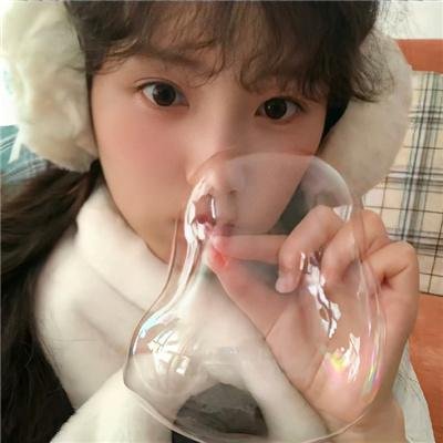 兰闺飞凤 封面